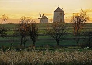 turisztikai kulturalis ajanlatok tesi szelmalmok